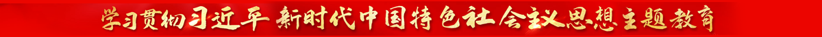 学习贯彻习近平新时代中国特色社会主义思想主题教育